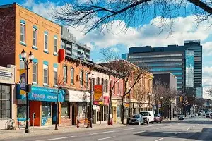 Professional scrap car buyers in Hamilton